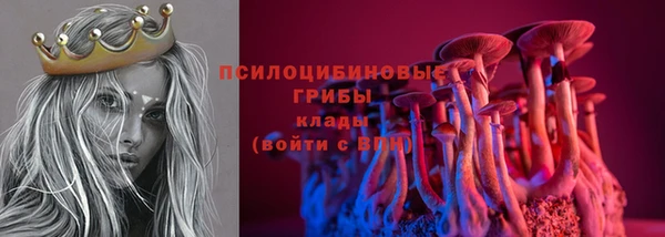 бошки Арсеньев