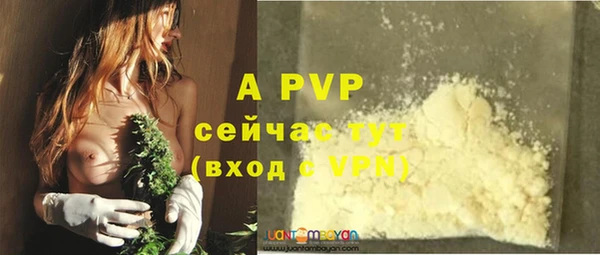 бошки Арсеньев