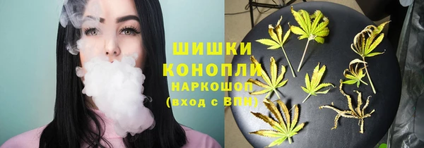 бошки Арсеньев