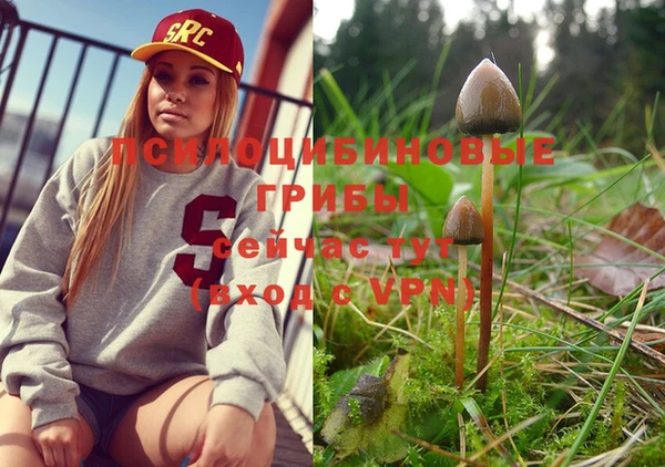 марки lsd Аркадак