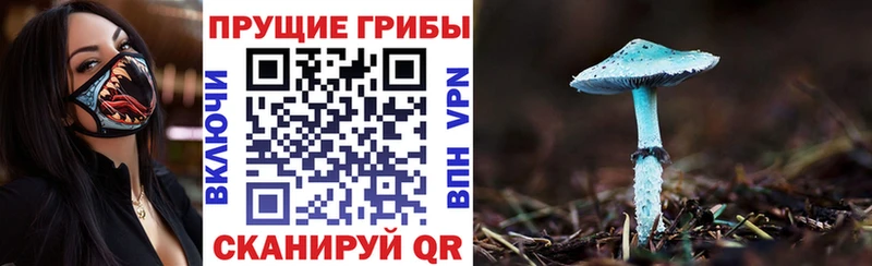 Псилоцибиновые грибы Magic Shrooms  купить наркоту  Саров 